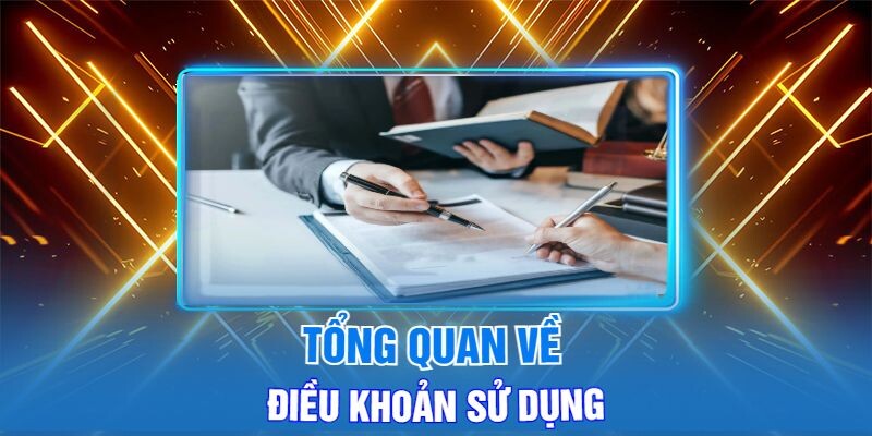 Tổng Quan Về Điều Khoản Sử Dụng